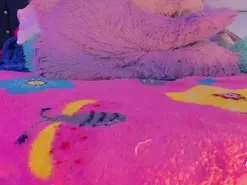 Amateur Free Porn Cam of samantha_offici