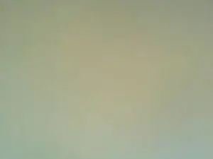 Cam4 Live Sex Cam of Lexistarrr