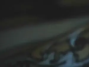 Cam4 Adult Webcam of Noahcogido
