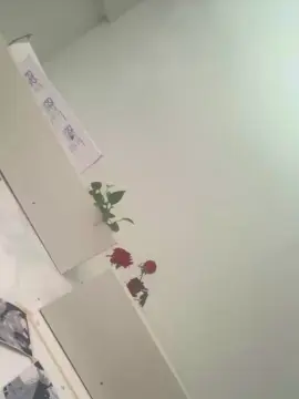 Cam4 Live Sex of Call_me_b34uty