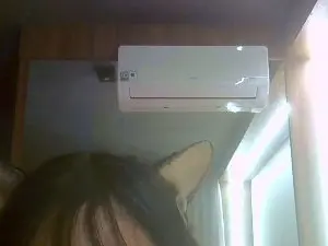 Cam4 Live Porn of SkinnyKittenCam