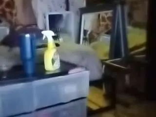Camsoda Sex Cam of alanahsinns