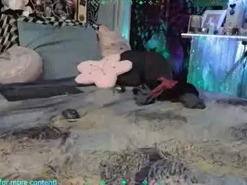 Chaturbate Best live sex cam show of xaevynne