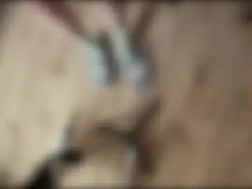 Chaturbate Private Sex Chat of yexes