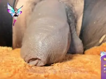 Chaturbate Watch Live Sex Cams of charlotte_laurent1
