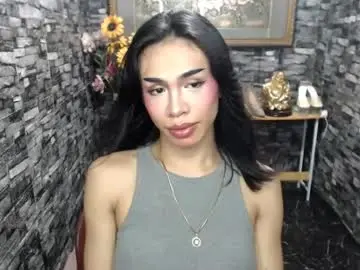 Chaturbate Live Porn of wildroxie