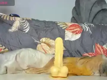 Chaturbate Private Sex Chat of vicky_hotteei