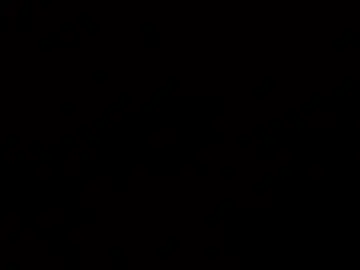 Chaturbate Free Porn Cam of sacredcock69_kaori