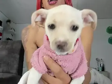 Stripchat Best Webcam of sammy_exotiic
