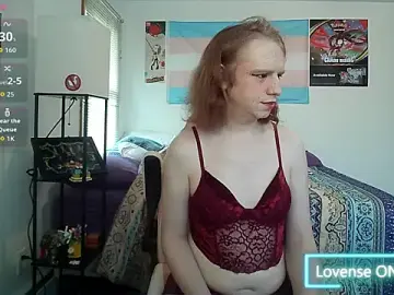 Stripchat Adult Webcams of VanFairy526